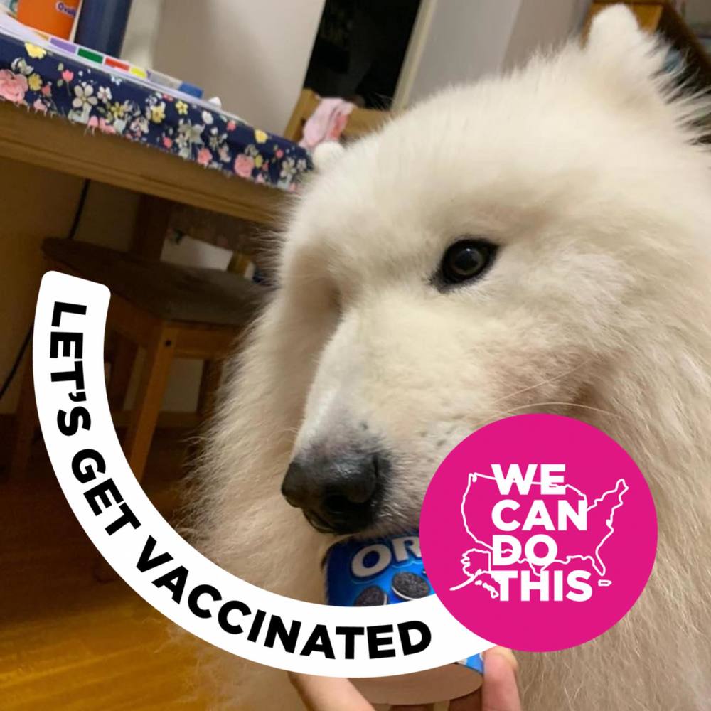 Meet your Posher, Onsw